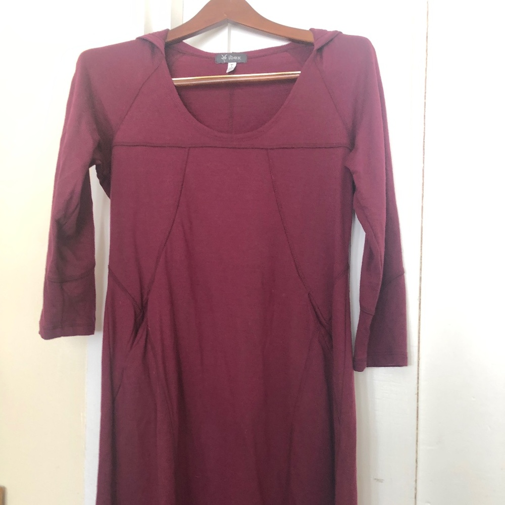 Ibex Hooded Women’s Wool Dress